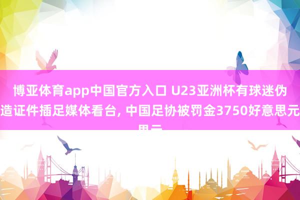 博亚体育app中国官方入口 U23亚洲杯有球迷伪造证件插足媒体看台, 中国足协被罚金3750好意思元