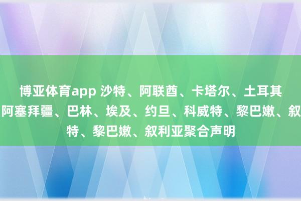 博亚体育app 沙特、阿联酋、卡塔尔、土耳其、巴基斯坦、阿塞拜疆、巴林、埃及、约旦、科威特、黎巴嫩、叙利亚聚合声明