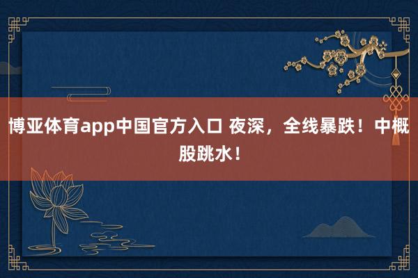 博亚体育app中国官方入口 夜深，全线暴跌！中概股跳水！