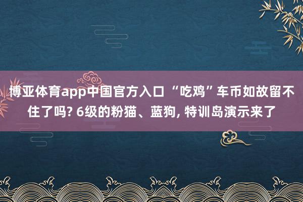 博亚体育app中国官方入口 “吃鸡”车币如故留不住了吗? 6级的粉猫、蓝狗, 特训岛演示来了