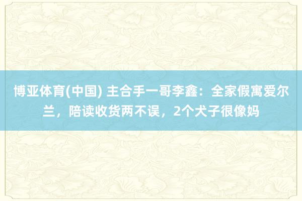 博亚体育(中国) 主合手一哥李鑫：全家假寓爱尔兰，陪读收货两不误，2个犬子很像妈