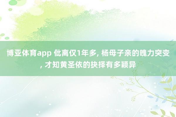 博亚体育app 仳离仅1年多, 杨母子亲的魄力突变, 才知黄圣依的抉择有多颖异