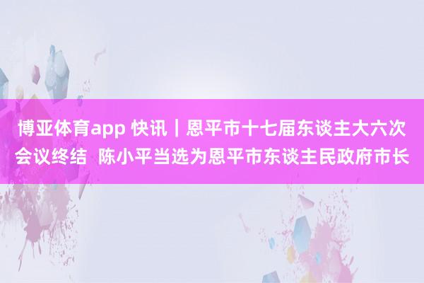 博亚体育app 快讯｜恩平市十七届东谈主大六次会议终结  陈小平当选为恩平市东谈主民政府市长
