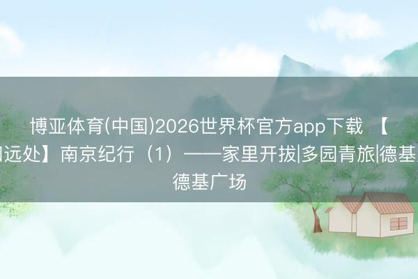 博亚体育(中国)2026世界杯官方app下载 【诗和远处】南京纪行（1）——家里开拔|多园青旅|德基广场