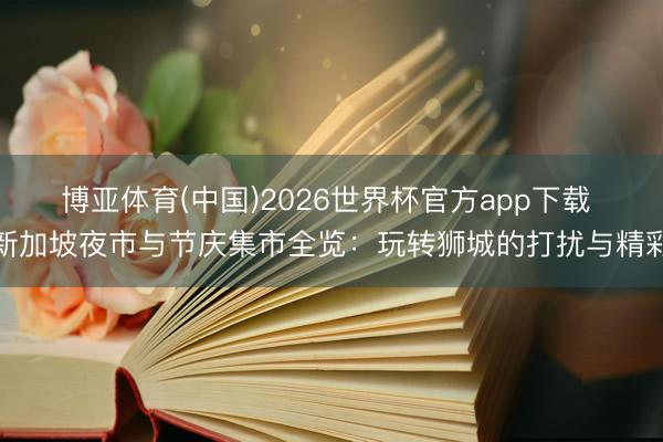 博亚体育(中国)2026世界杯官方app下载 新加坡夜市与节庆集市全览：玩转狮城的打扰与精彩