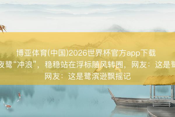 博亚体育(中国)2026世界杯官方app下载 公园里偶遇夜鹭“冲浪”，稳稳站在浮标随风转圈，<a href=