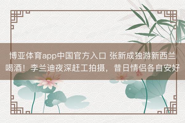 博亚体育app中国官方入口 张新成独游新西兰喝酒！李兰迪夜深赶工拍摄，昔日情侣各自安好