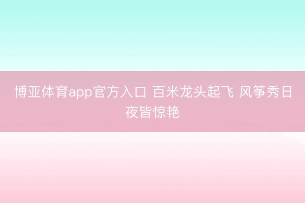 博亚体育app官方入口 百米龙头起飞 风筝秀日夜皆惊艳