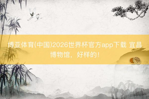 博亚体育(中国)2026世界杯官方app下载 宜昌博物馆，好样的！