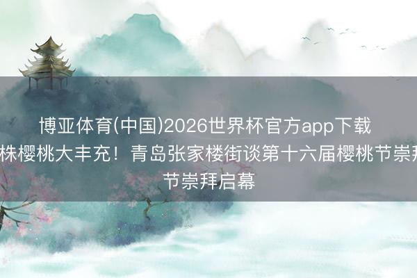 博亚体育(中国)2026世界杯官方app下载 5万余株樱桃大丰充！青岛张家楼街谈第十六届樱桃节崇拜启幕