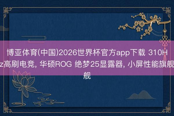 博亚体育(中国)2026世界杯官方app下载 310Hz高刷电竞， 华硕ROG 绝梦25显露器， 小屏性能旗舰