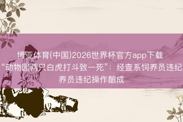 博亚体育(中国)2026世界杯官方app下载 青岛通报“动物园两只白虎打斗致一死”：经查系饲养员违纪操作酿成