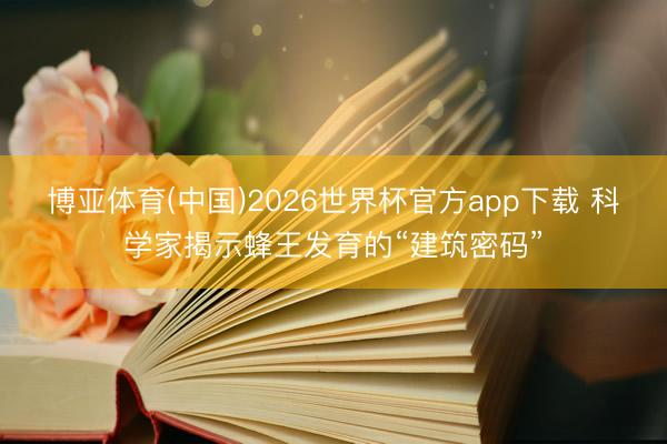 博亚体育(中国)2026世界杯官方app下载 科学家揭示蜂王发育的“建筑密码”