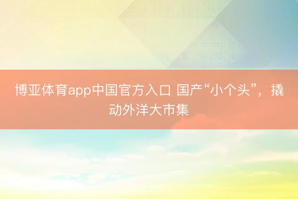 博亚体育app中国官方入口 国产“小个头”，撬动外洋大市集