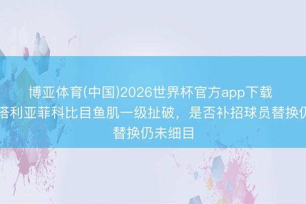 博亚体育(中国)2026世界杯官方app下载 记者：塔利亚菲科比目鱼肌一级扯破，是否补招球员替换仍未细目