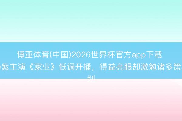 博亚体育(中国)2026世界杯官方app下载 杨紫主演《家业》低调开播，得益亮眼却激勉诸多策划