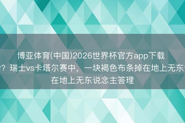 博亚体育(中国)2026世界杯官方app下载 地上这是啥？瑞士vs卡塔尔赛中，<a href=