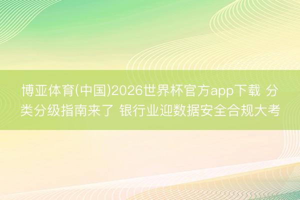 博亚体育(中国)2026世界杯官方app下载 分类分级指南来了 银行业迎数据安全合规大考